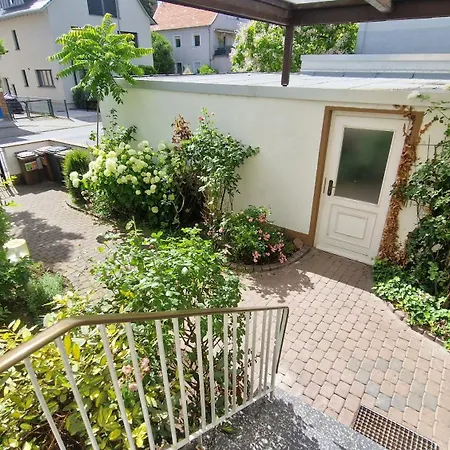 Natur ماينتال